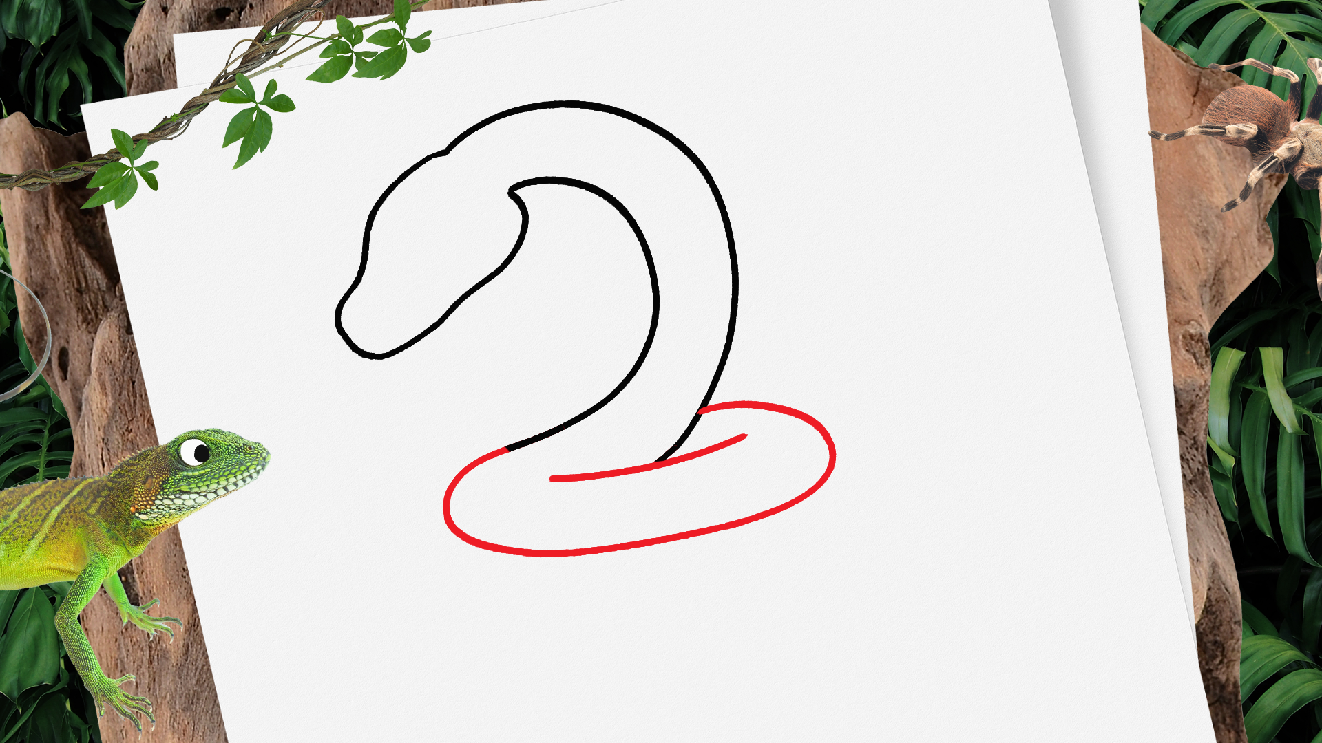 How to Draw a Snake - A Fun and Easy Snake Drawing
