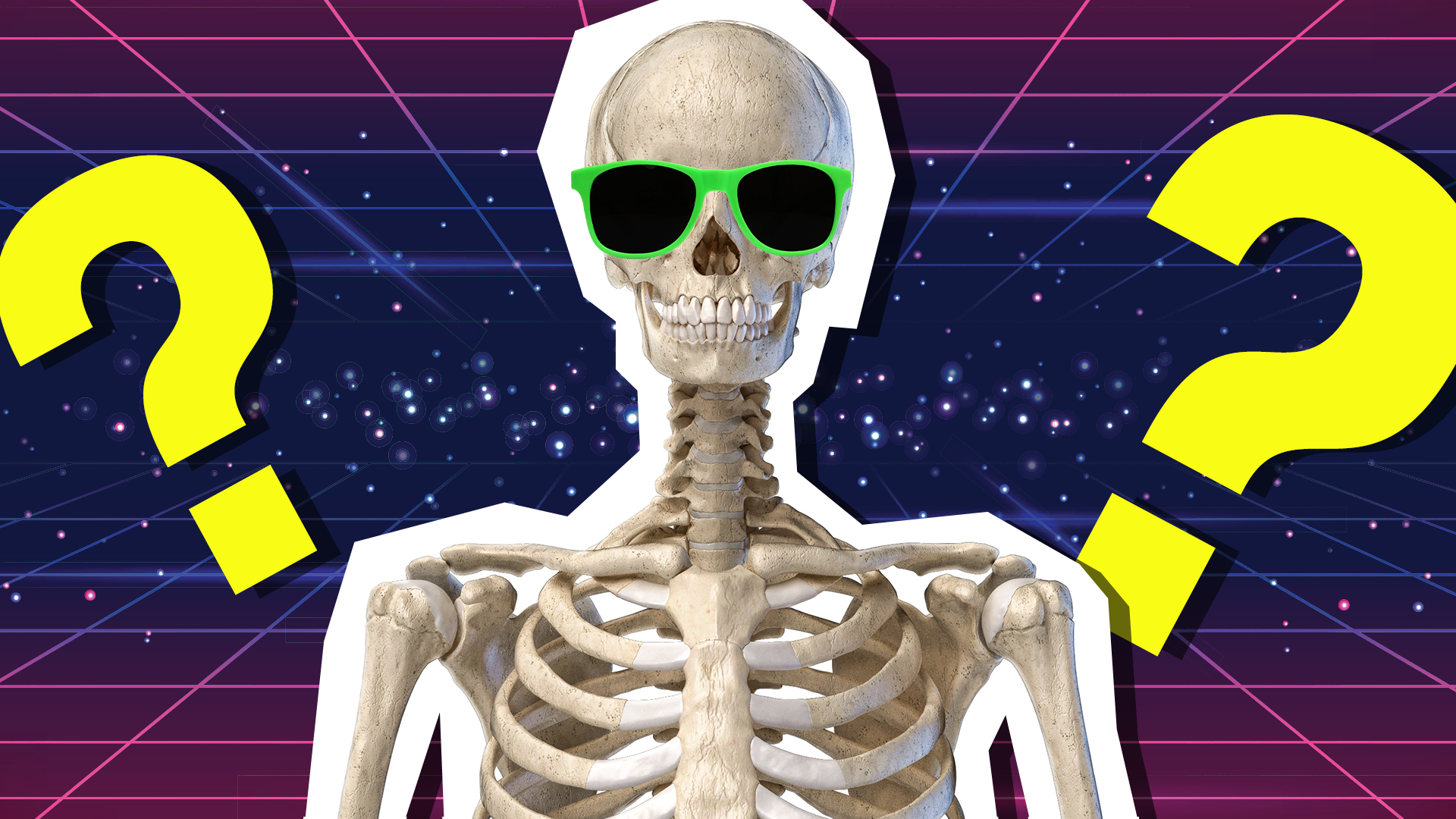 Human Skeletal System Quiz