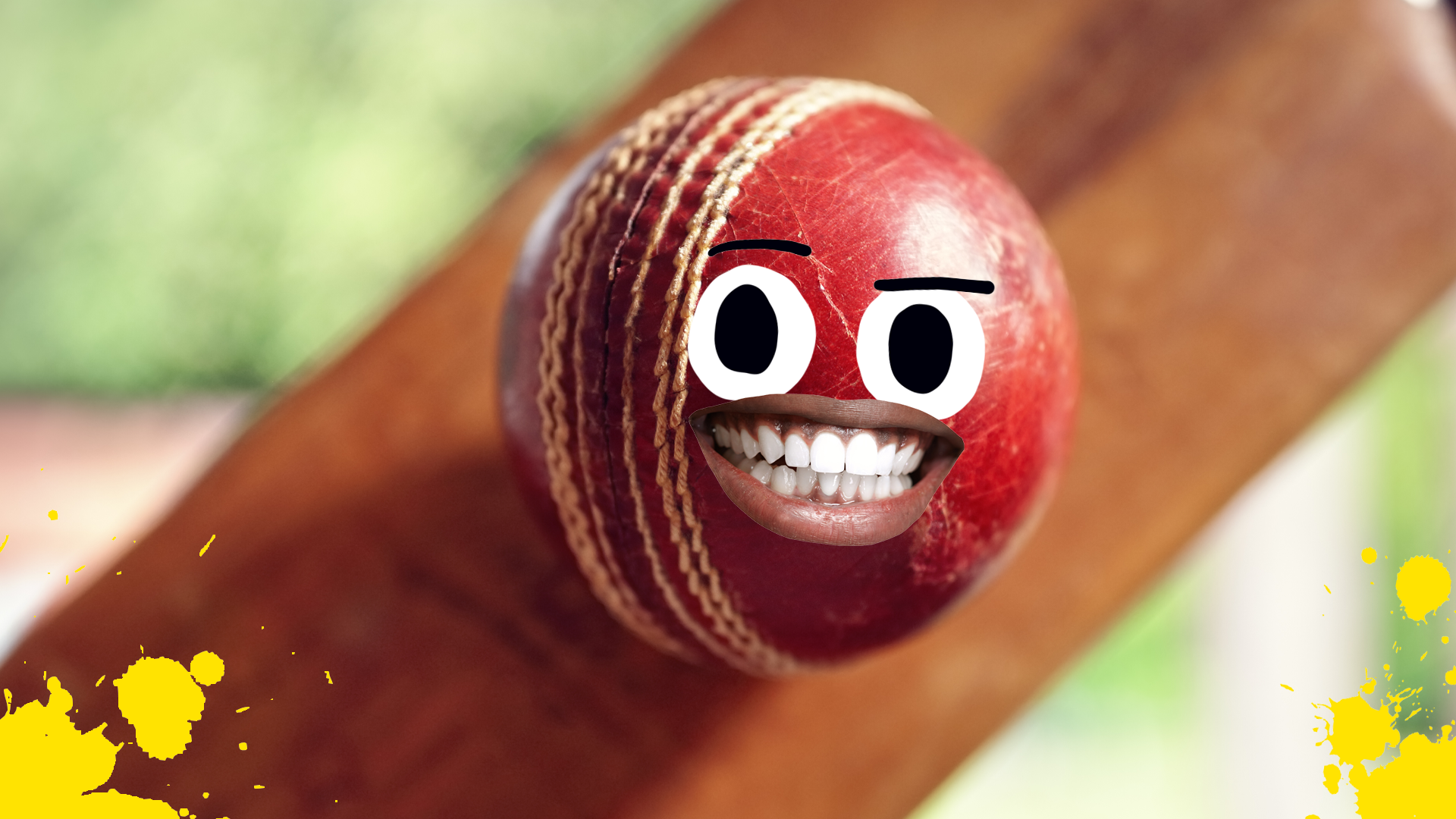 A cricket bat and ball