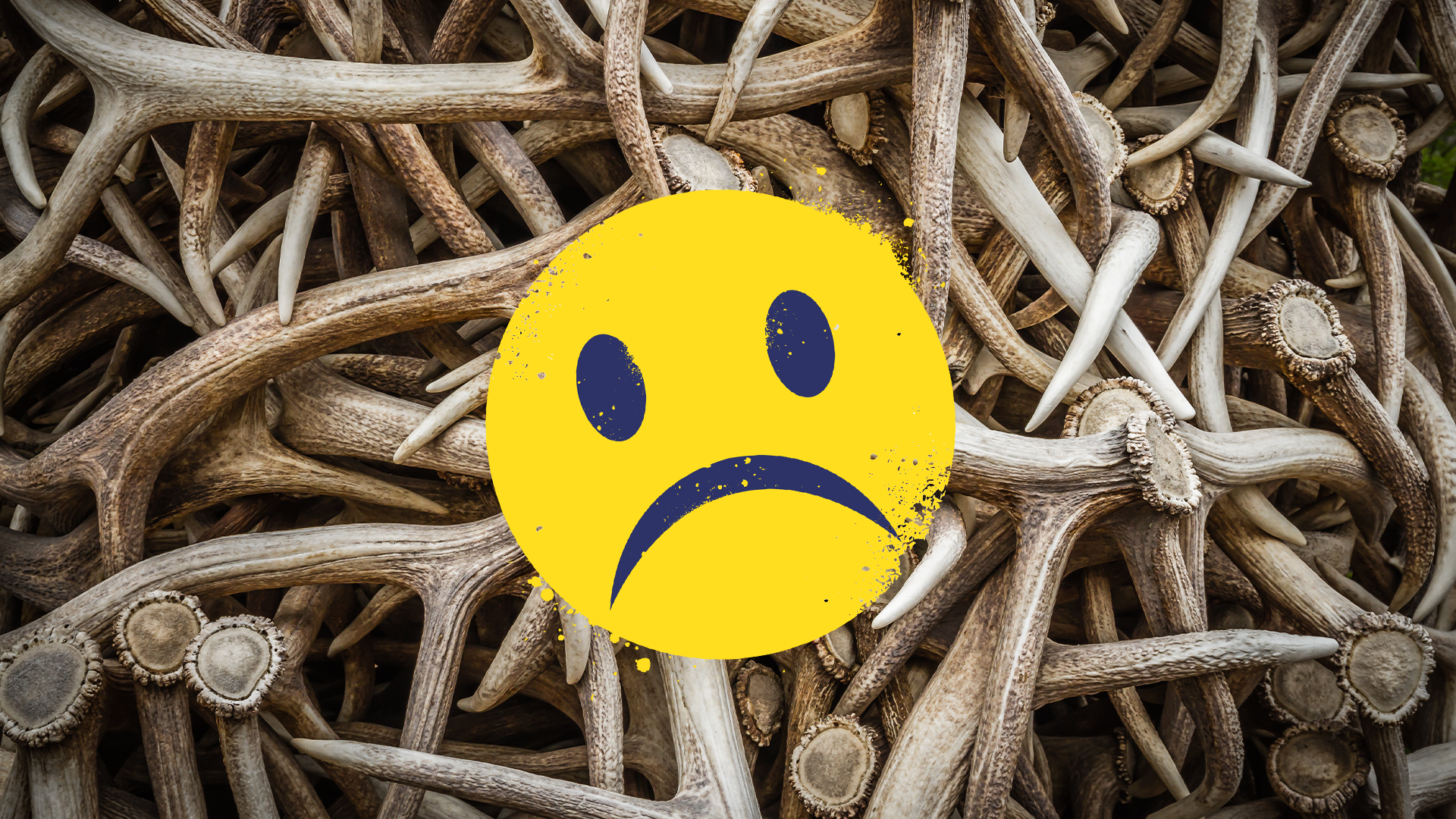 Antler background with sad Beano emoji 