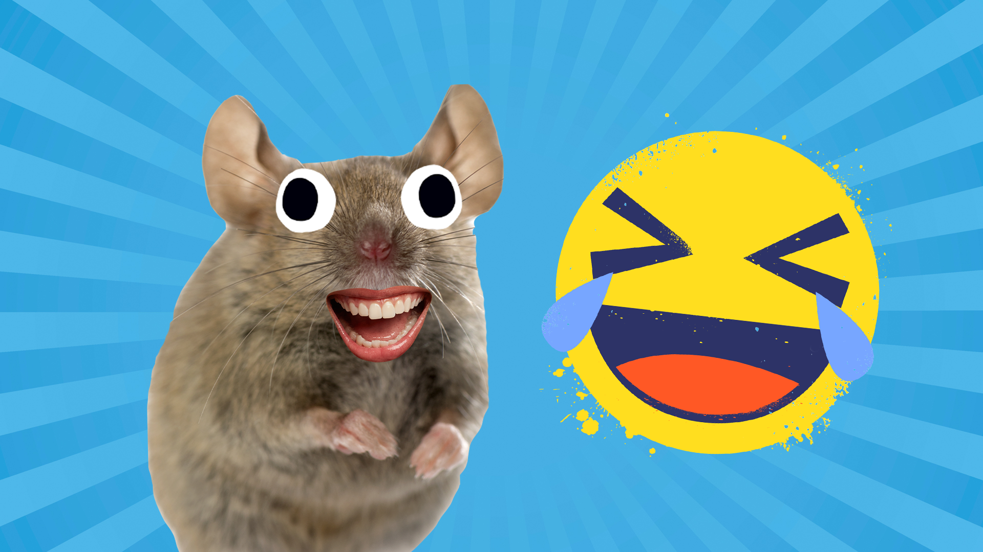 56 Mouse Jokes Which Are Cheese-Free | Beano.com