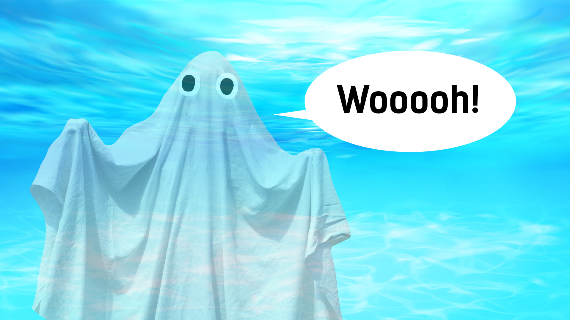 A ghost shark but not really