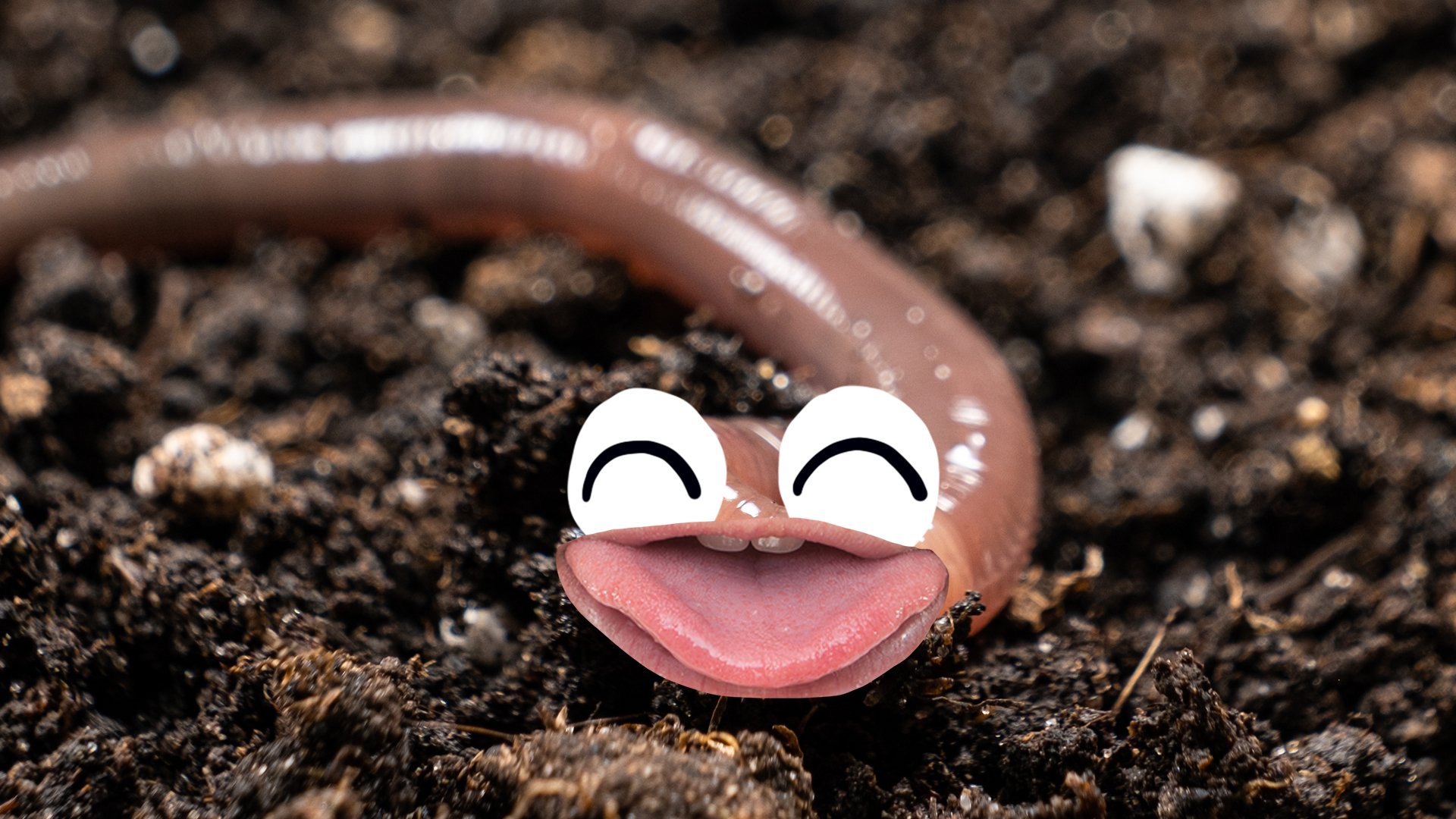 Top 20 Best Worm Jokes And Puns