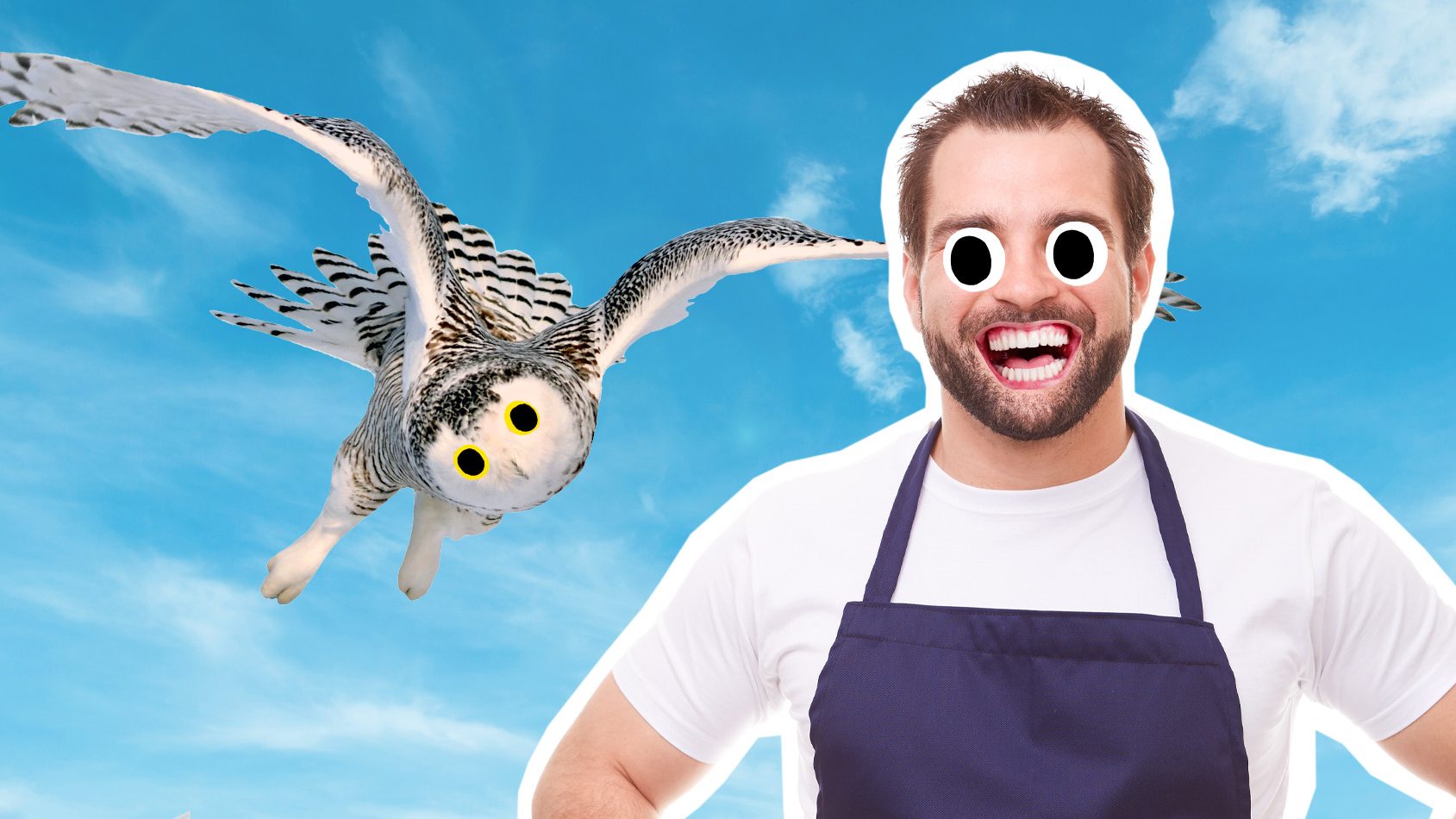 A butcher and an owl