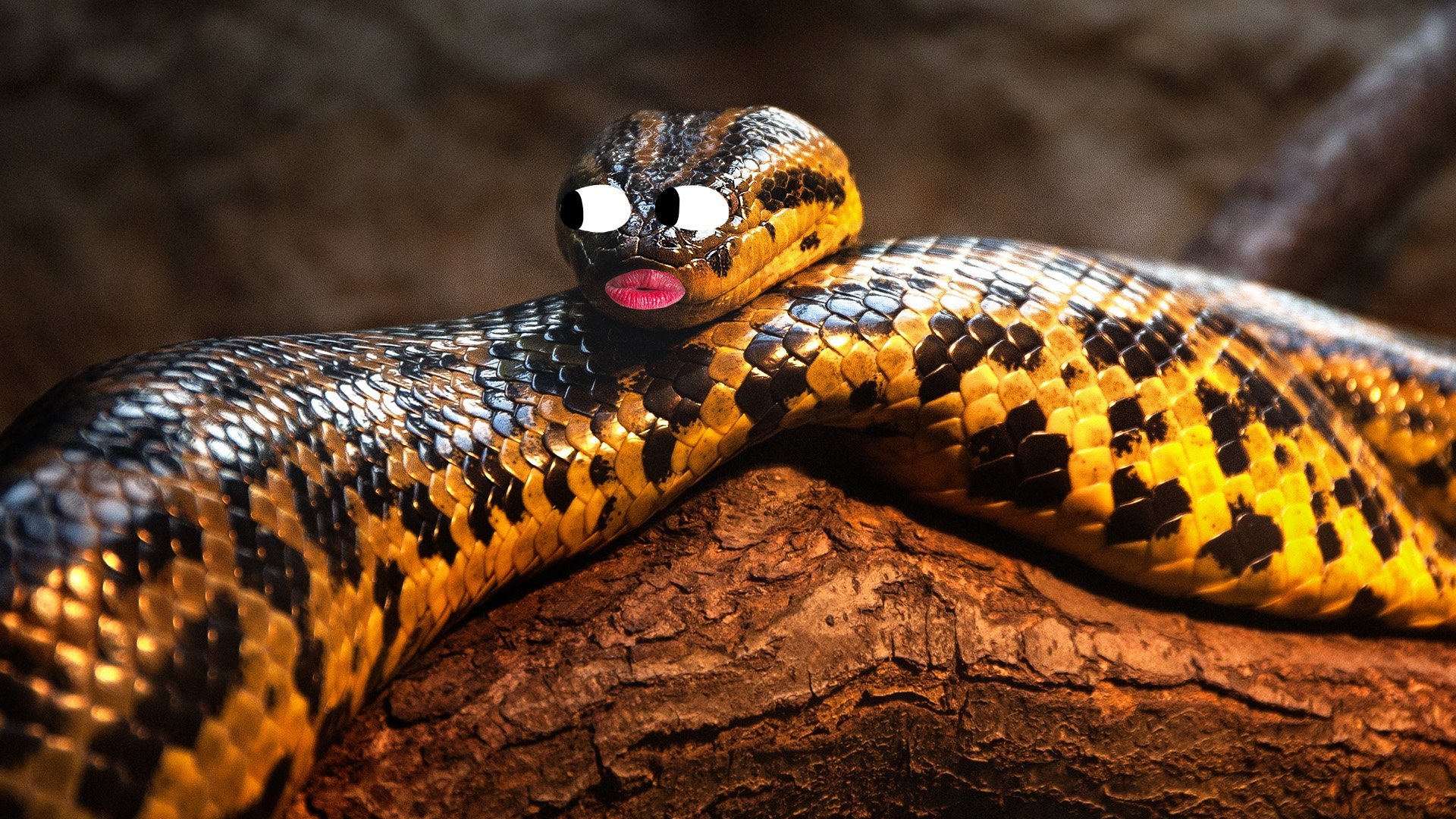 15 Interesting Facts You Never Knew About Anacondas | Beano