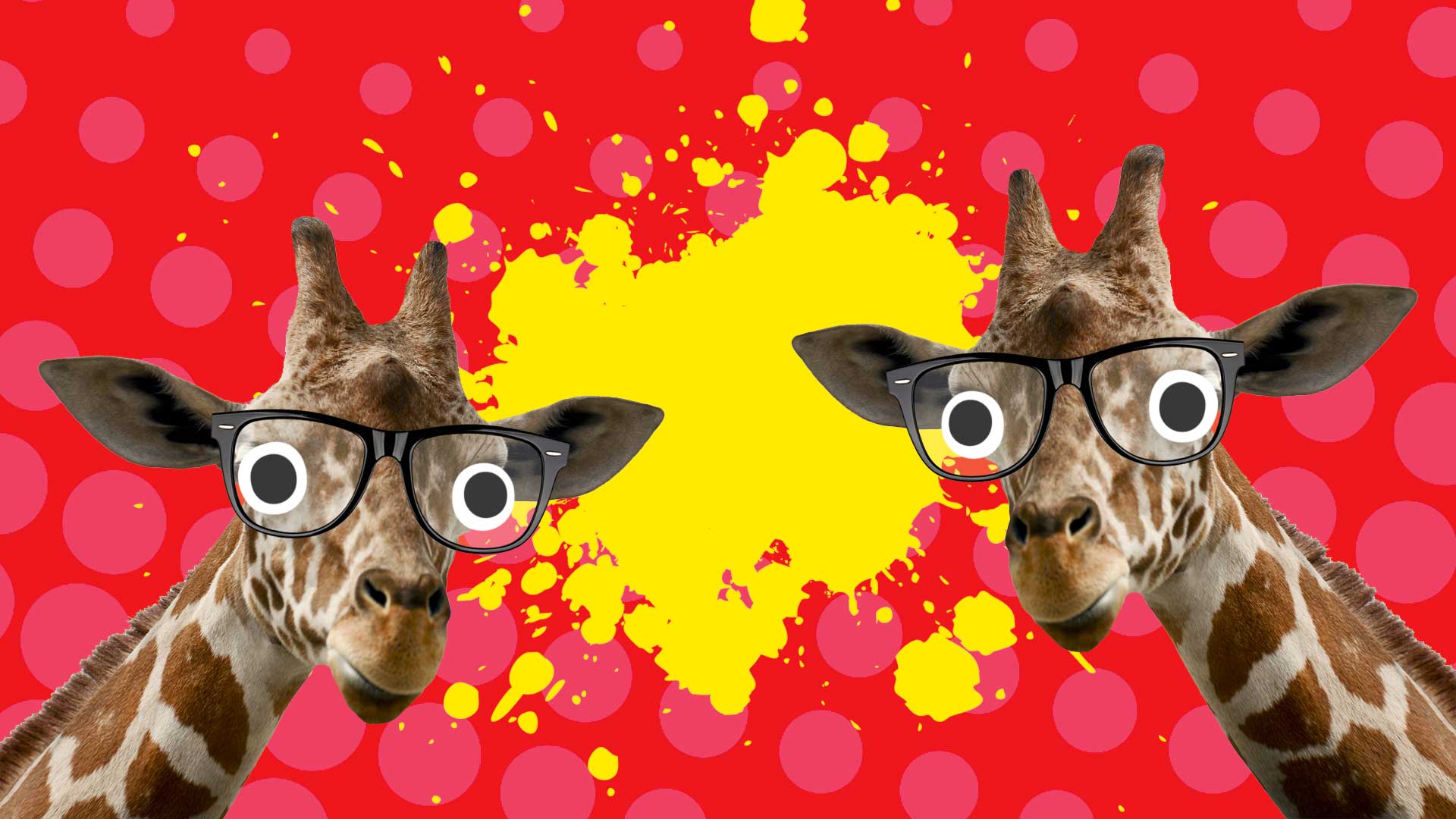  Get On My Level Cool Giraffe Sunglasses Pun Funny