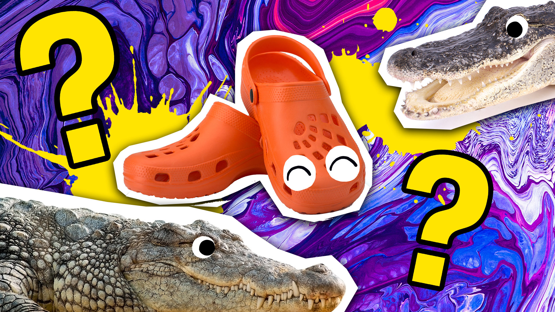 Alligator best sale crocs shoes