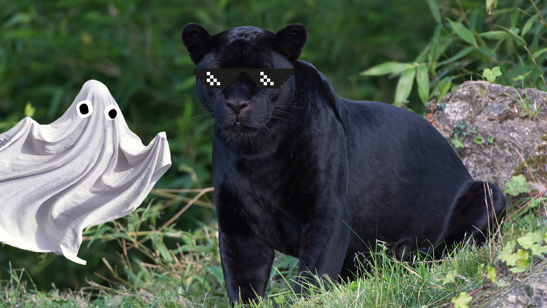 5 29 Black Panther