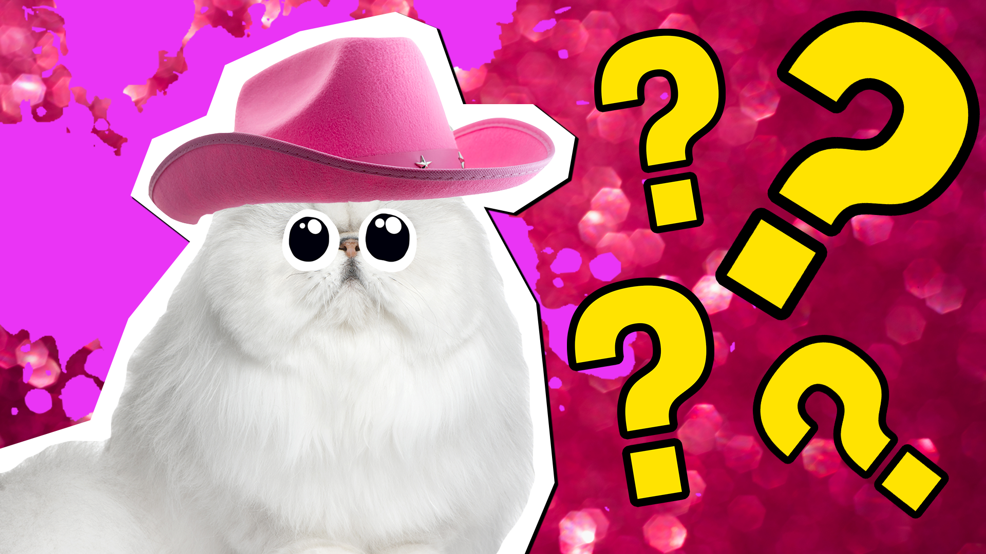 Barbie Pets and Accessories Quiz: Test Your Know-How!