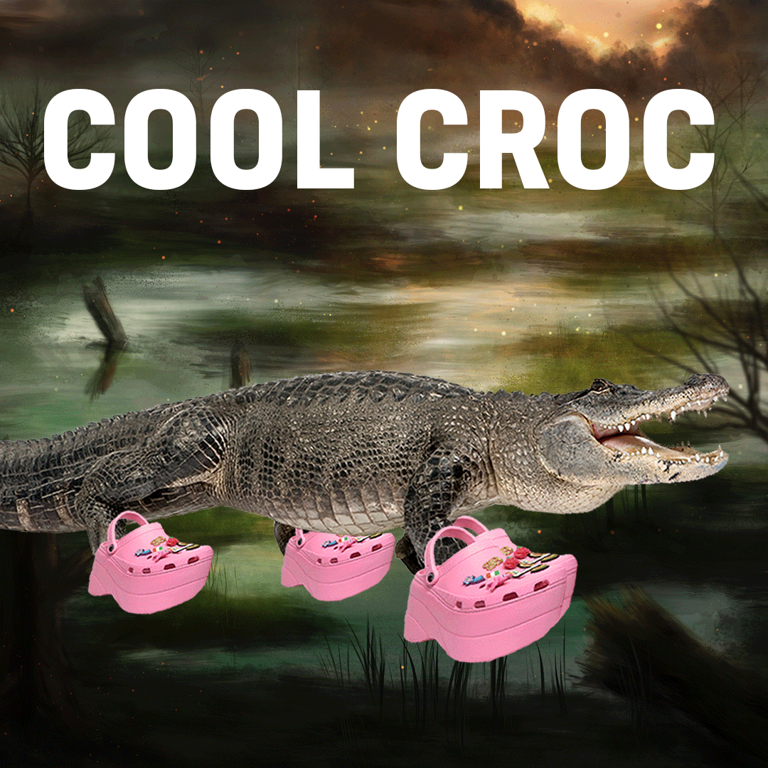 Everything We Know About the New Crazy Crocs! | Animals | Fashion on  