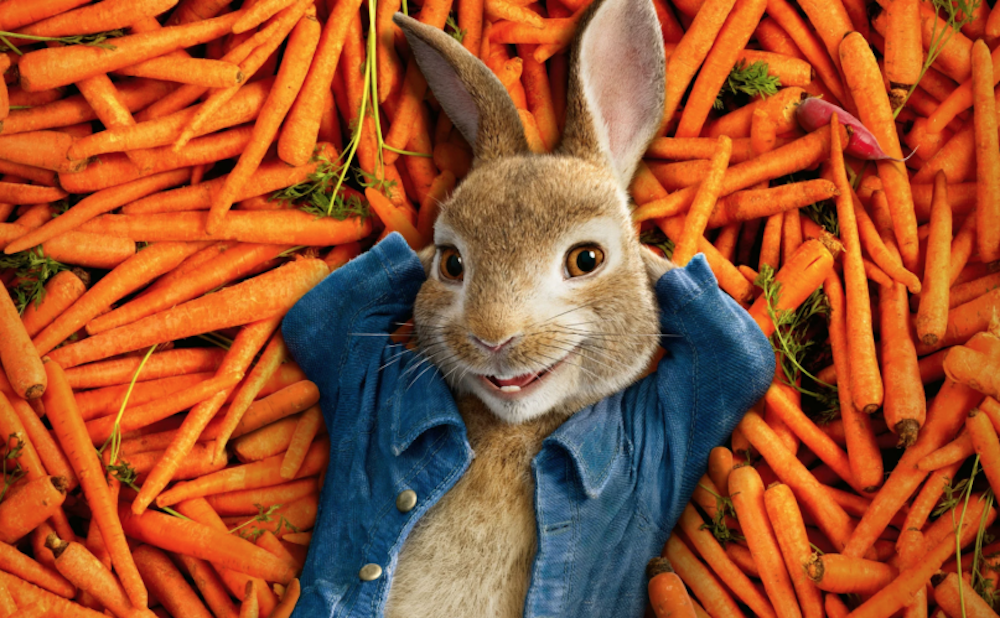 The Ultimate Peter Rabbit Quiz! | Peter Rabbit | Quizzes on Beano.com