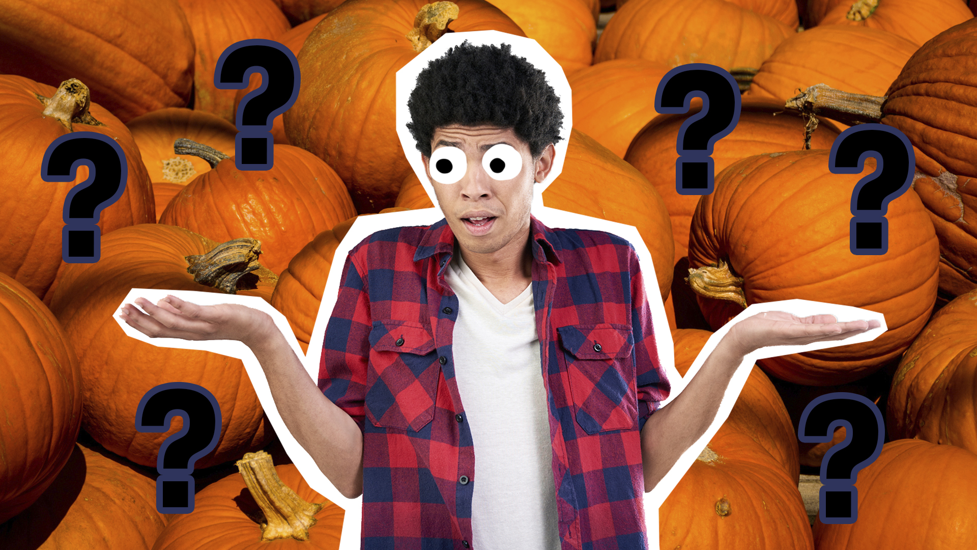 What Type Of Pumpkin Are You Quiz Halloween On Beano Com