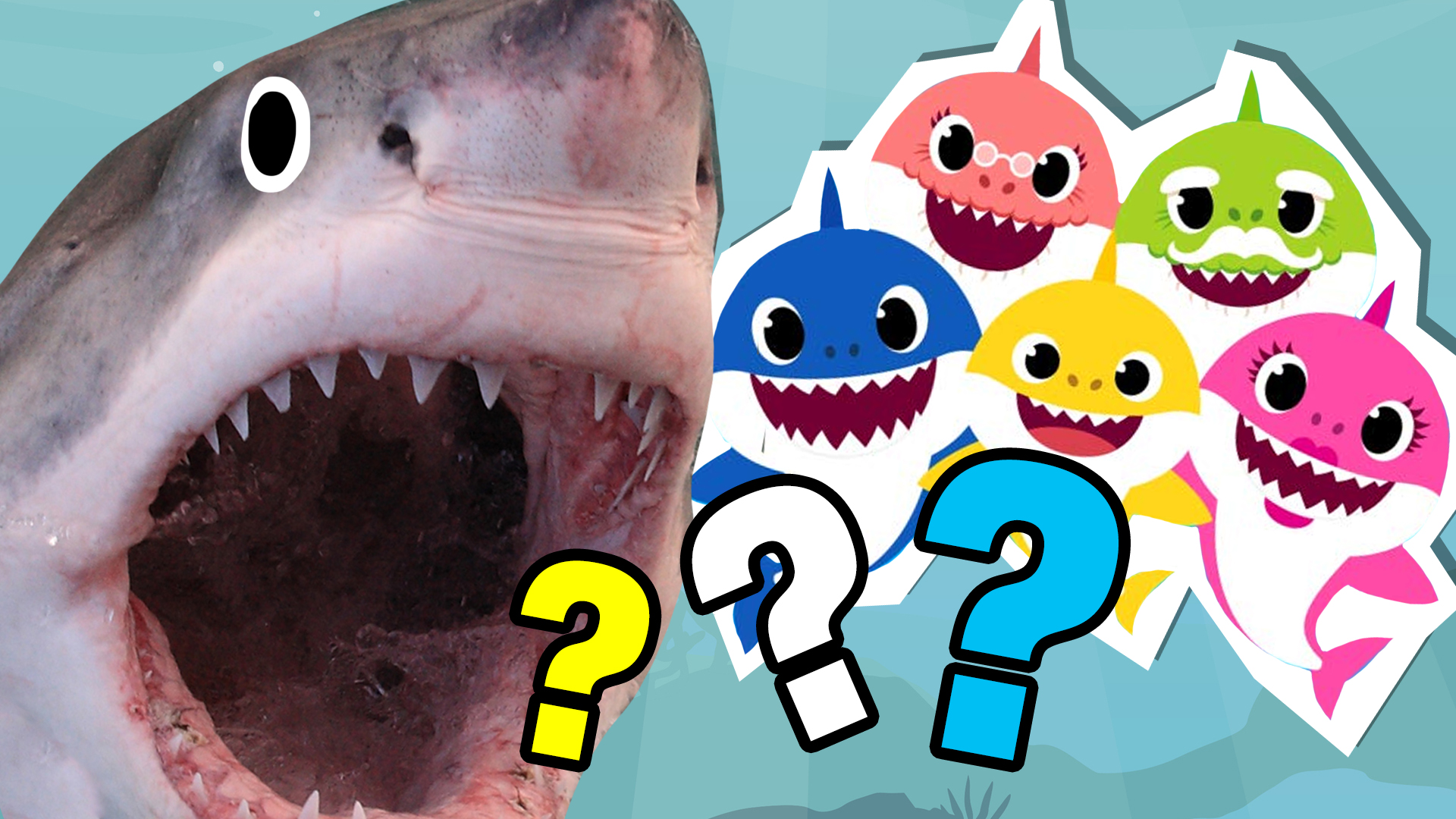 Baby Shark Quiz How Well Do You Know Baby Shark Animal Quizzes On Beano Com