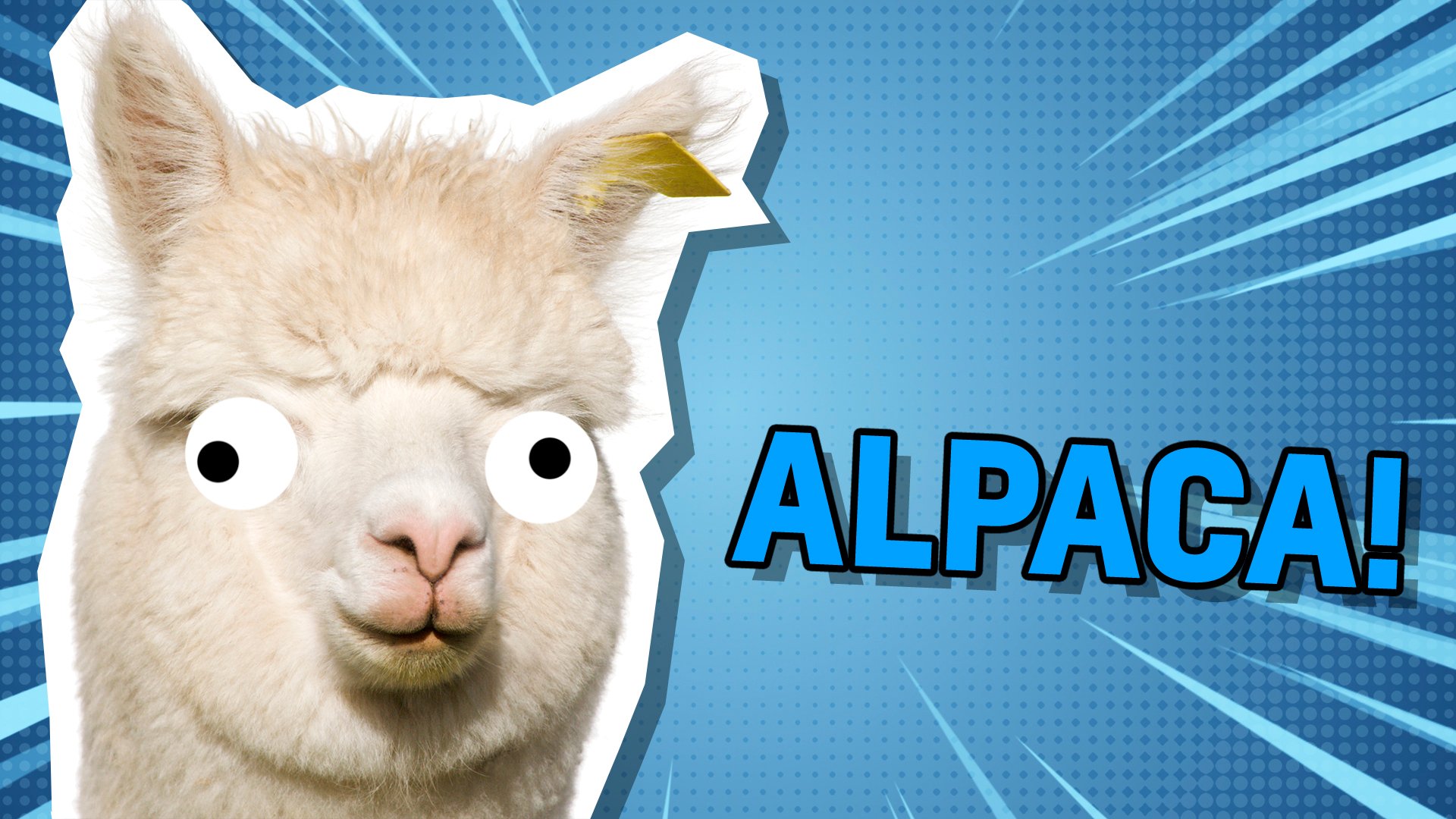 What Kind Of Llama Are You? Trivia Quiz