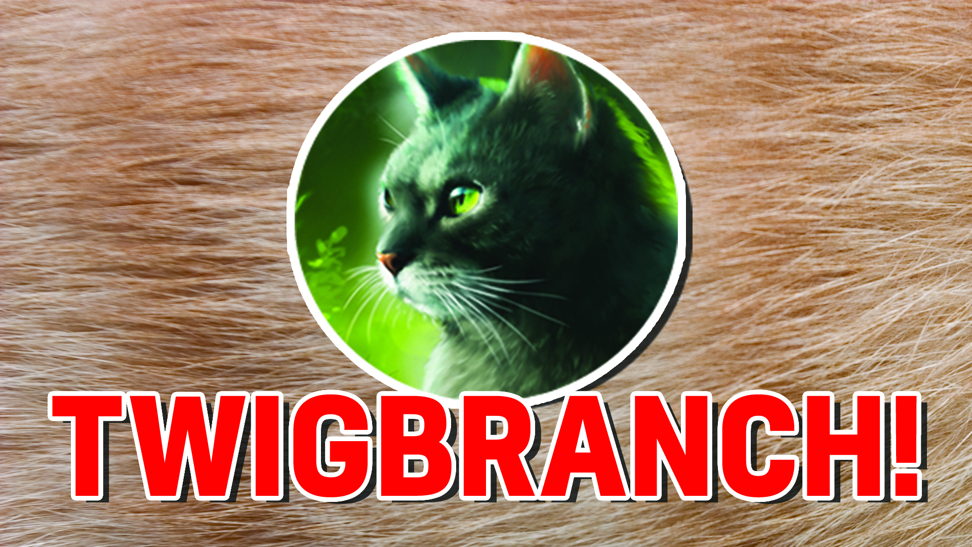 What Warrior Cat Are You Warrior Cat Personality Quiz