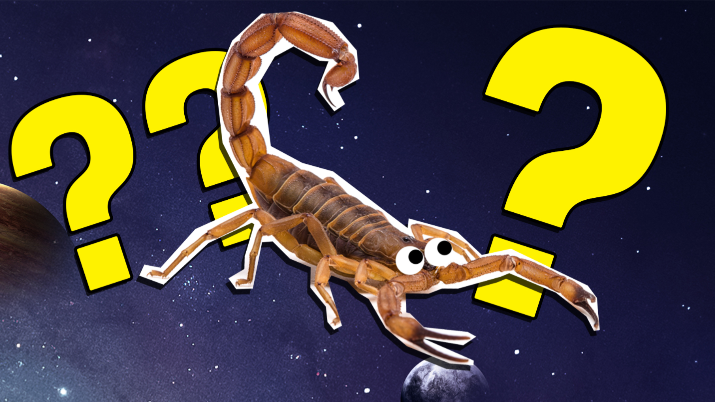 zodiac-sign-quizzes-zodiac-and-star-sign-quizzes-beano