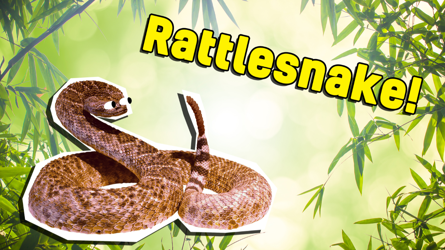 What Snake Am I? Quiz | Beano.com