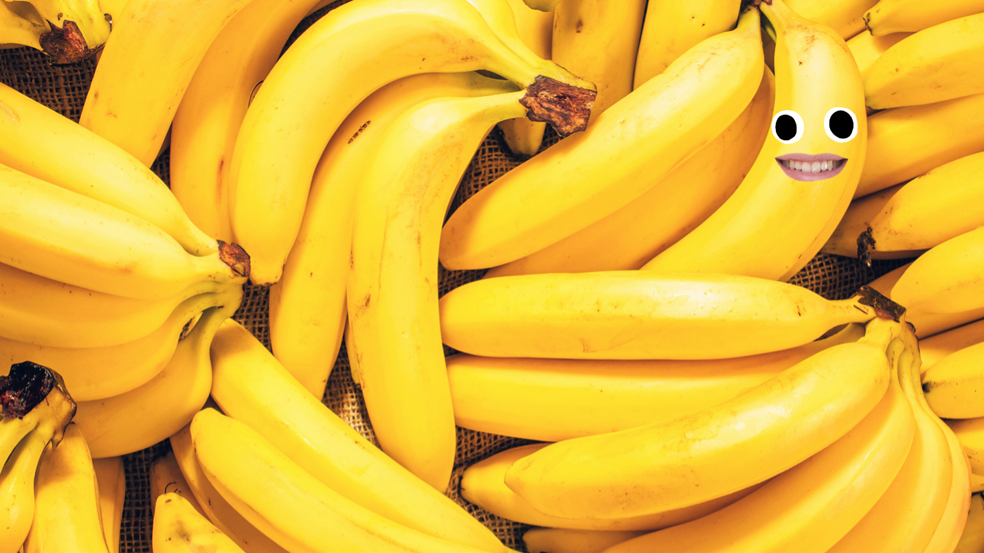 The Ultimate Banana Quiz | Trivia Quiz