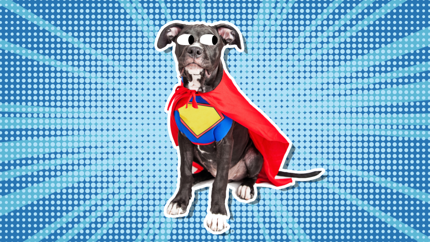 Superhero pets