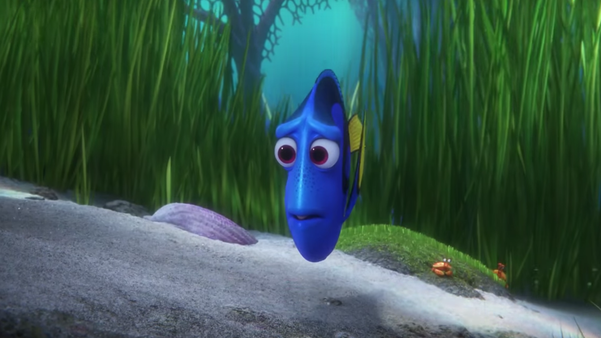 findy dory trailer