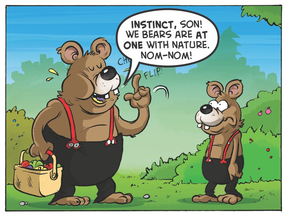 Three Bears comic strip from the Beano. 'Instinct, son! We bears are at one with nature. Nom-nom.'