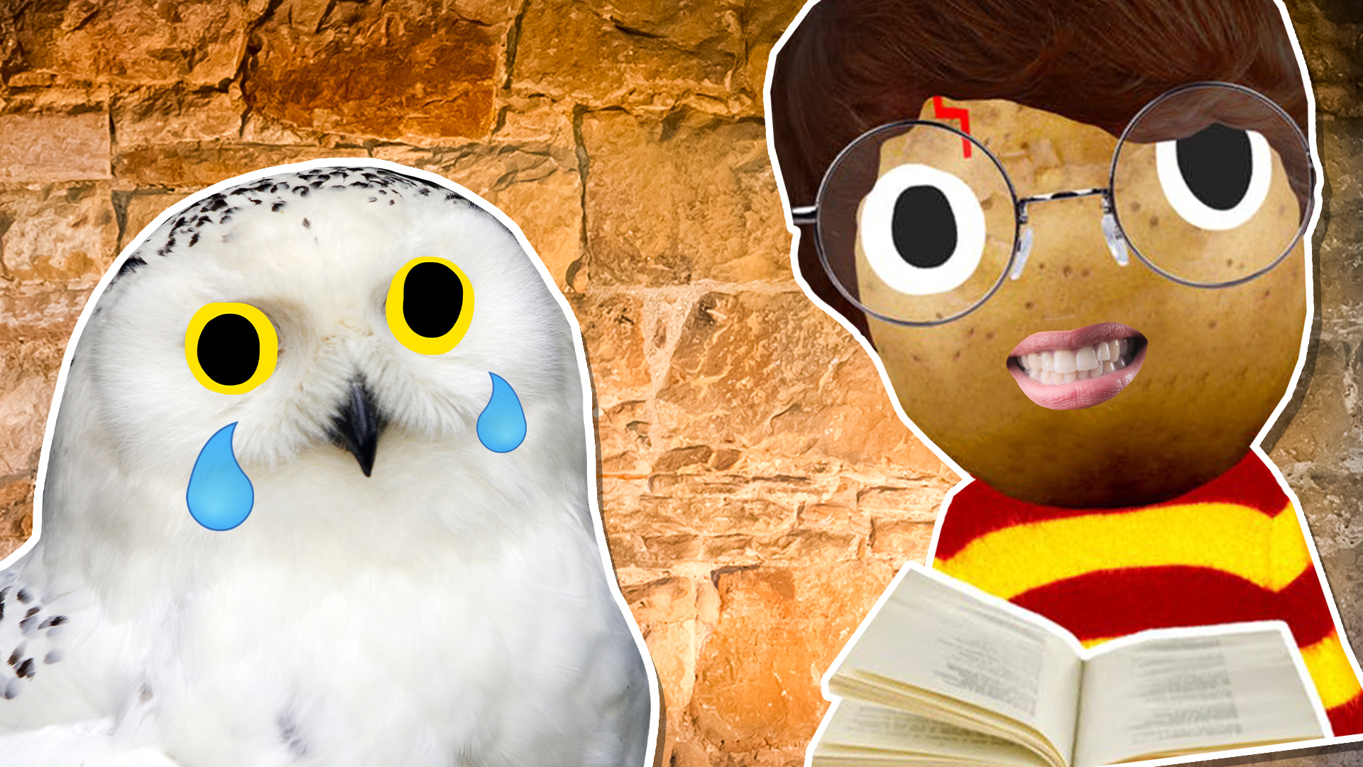 Hedwig and Harry Potter