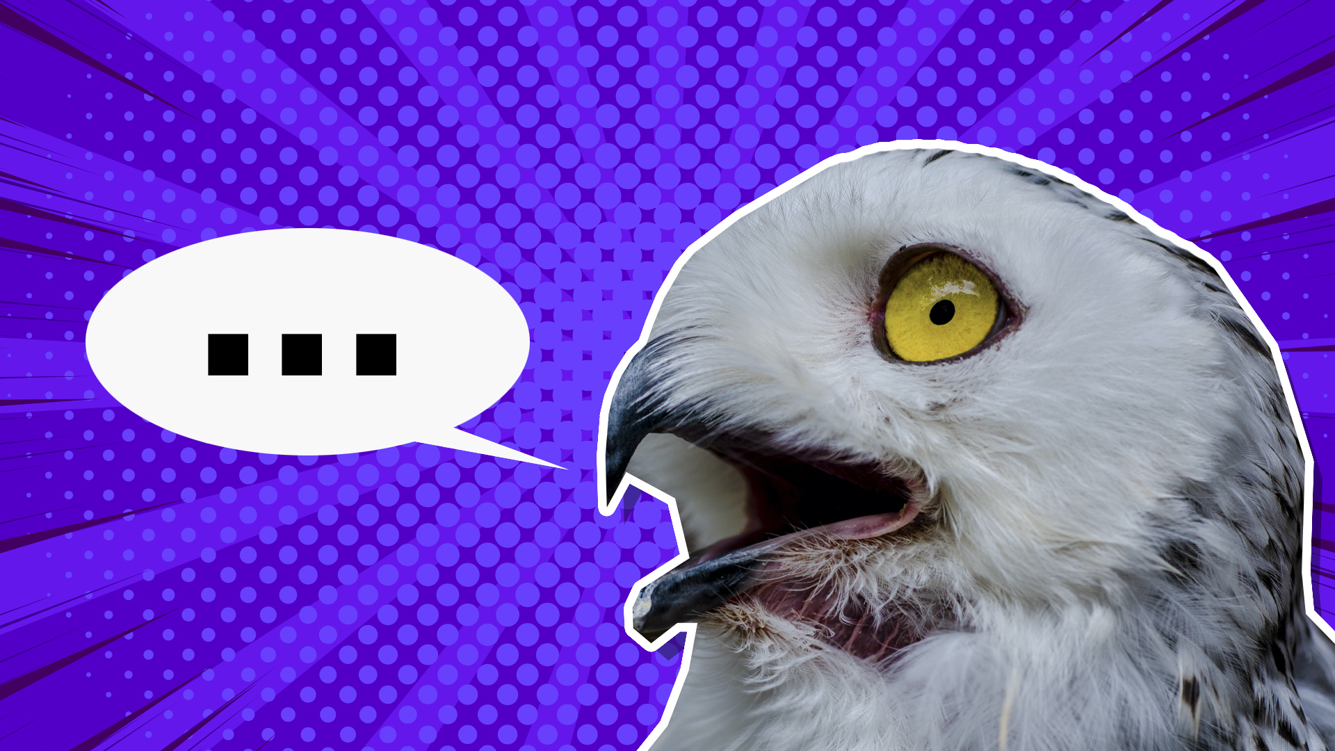 20 Owl Jokes To Make You 'Owl' With Laughter!