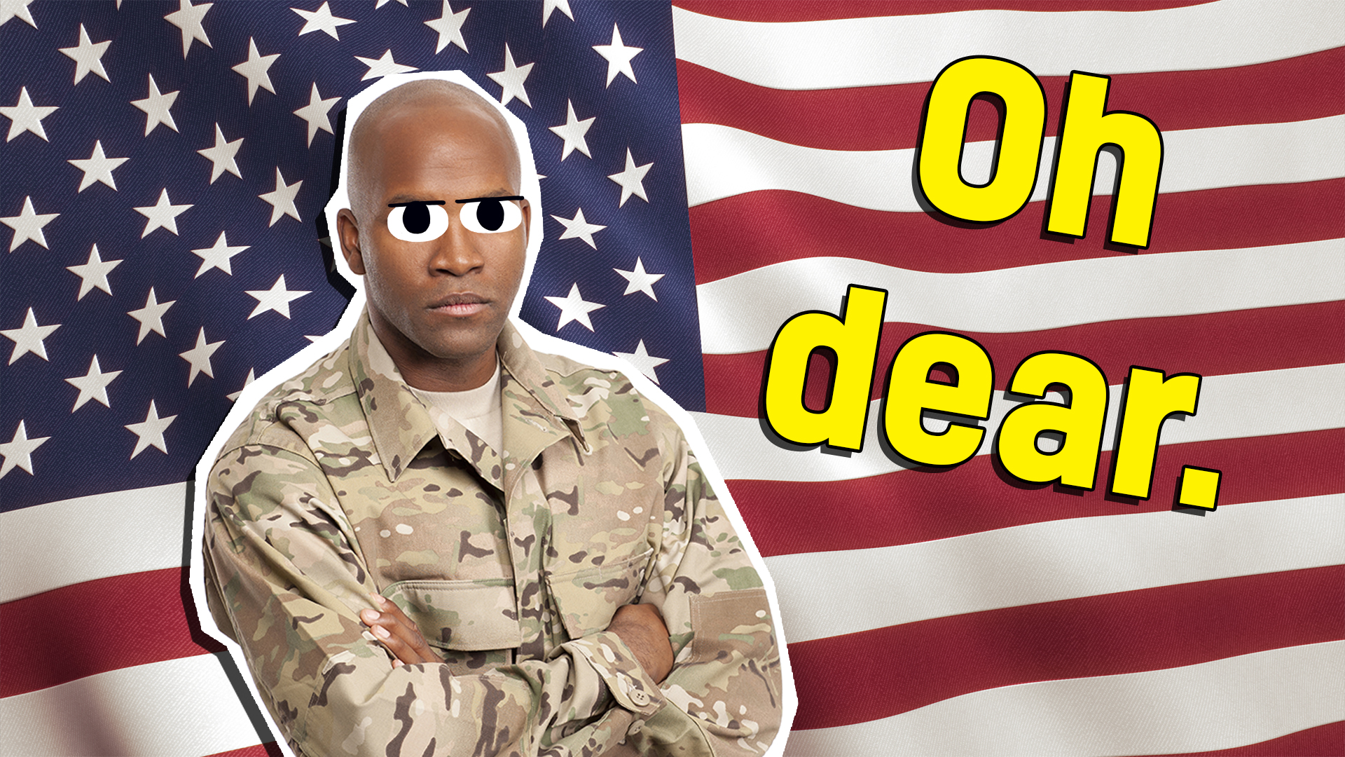 Veterans Day Quiz | Do You Know Veterans Day? | Beano.com