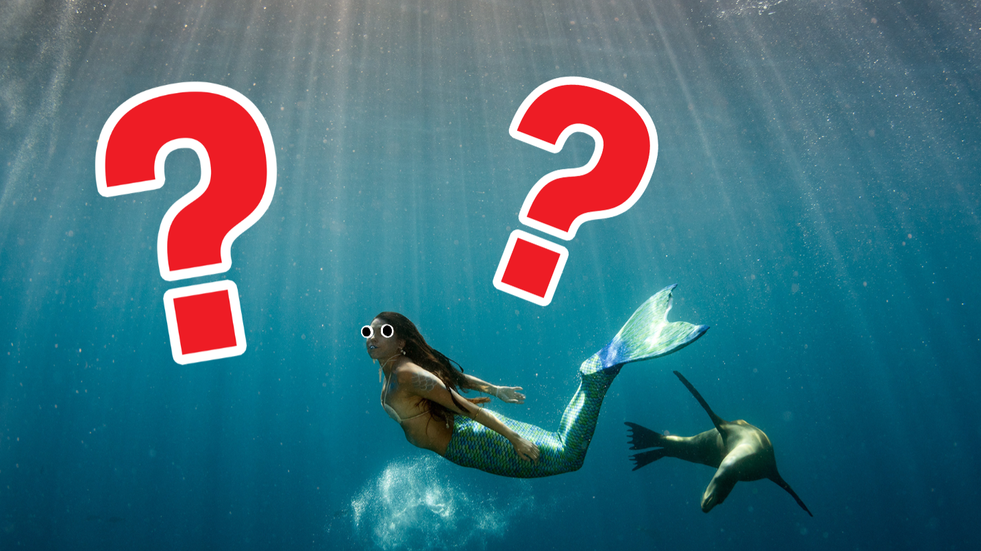 Mako Mermaid Quiz: Can You Get 100 Percent?