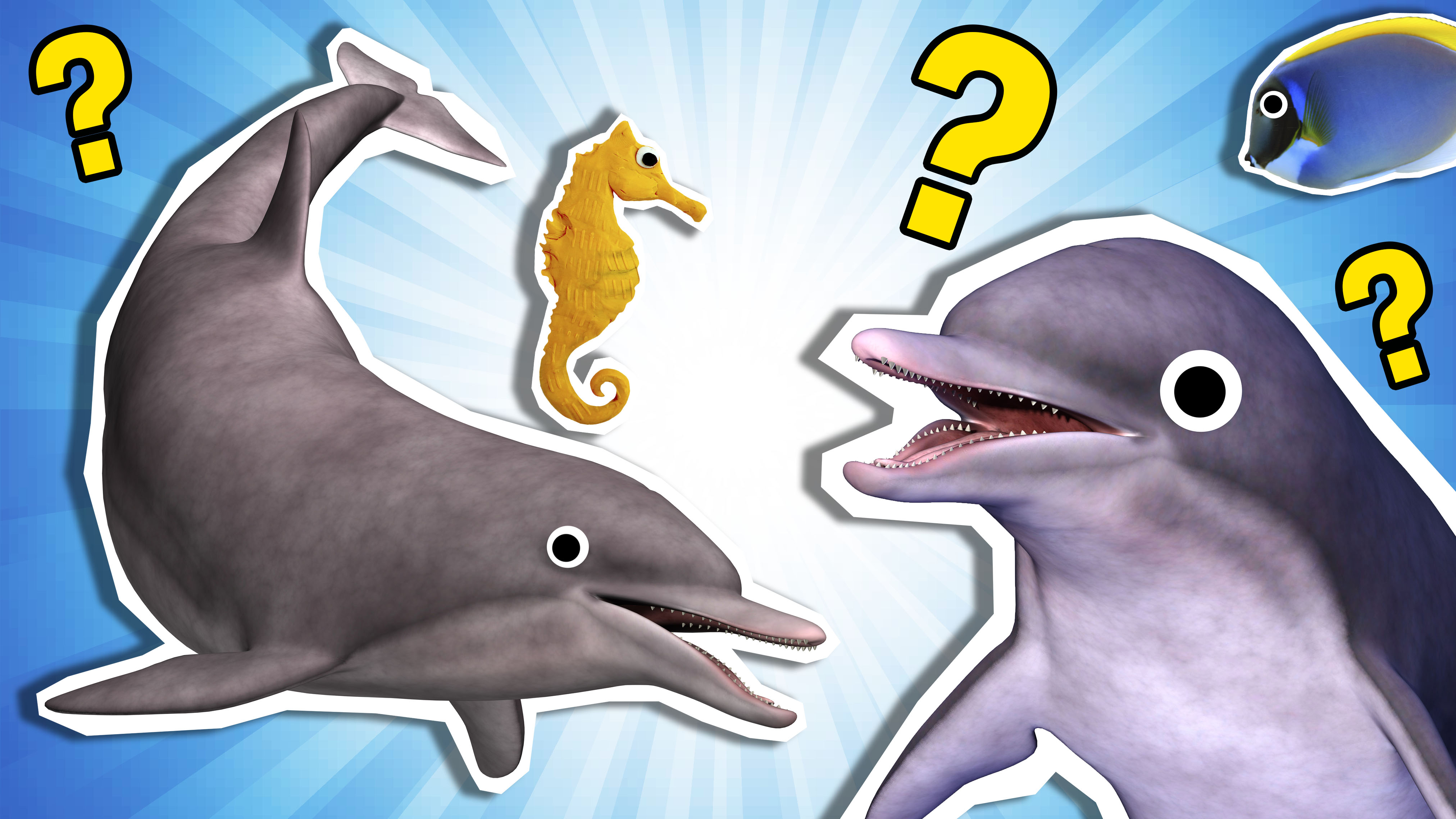 Dolphin Trivia! Today's trivia question is do dolphins have a sense of