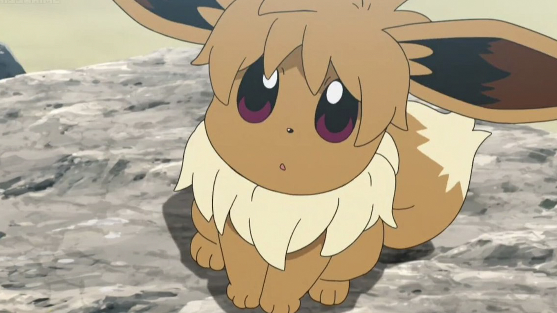 Pokemon Eevee Quiz Are You The Ultimate Fan Beano Com