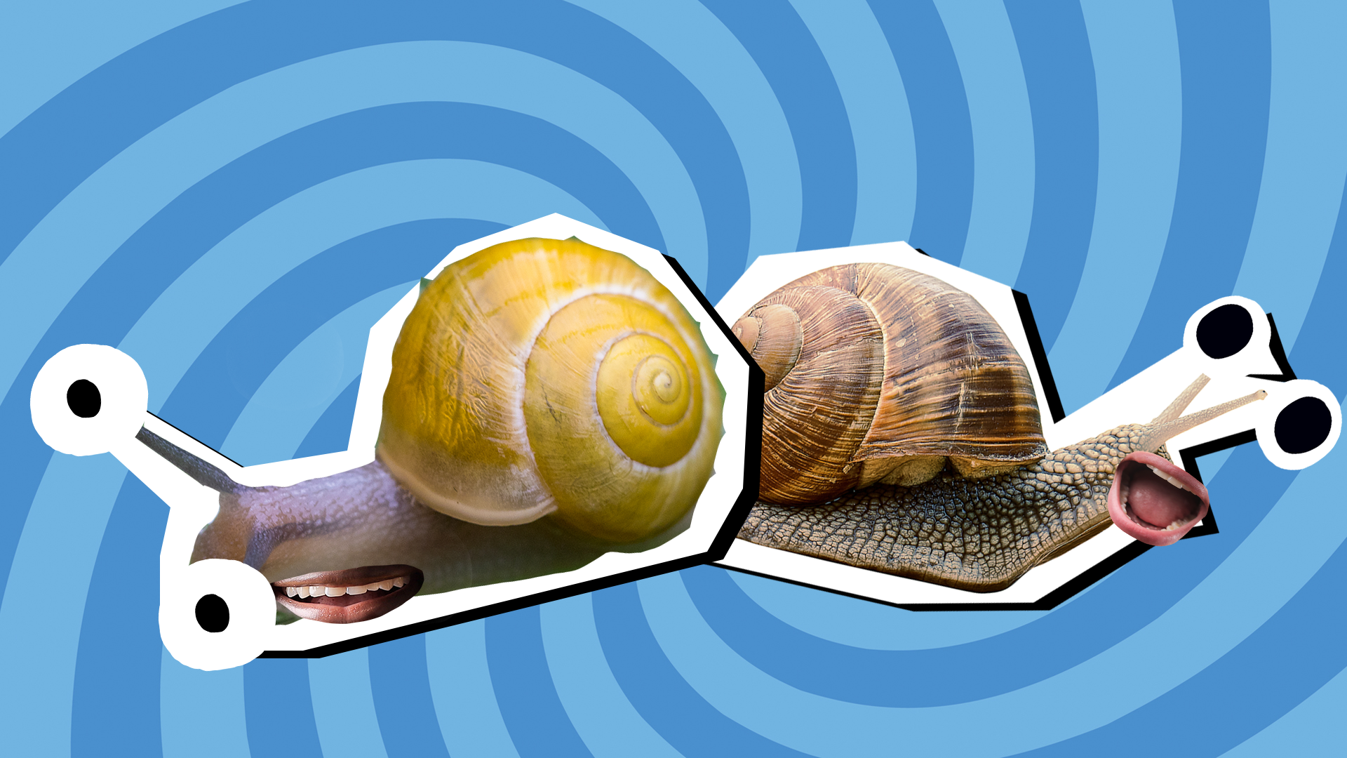 Snail Jokes | Funny Snail Jokes | Beano.com