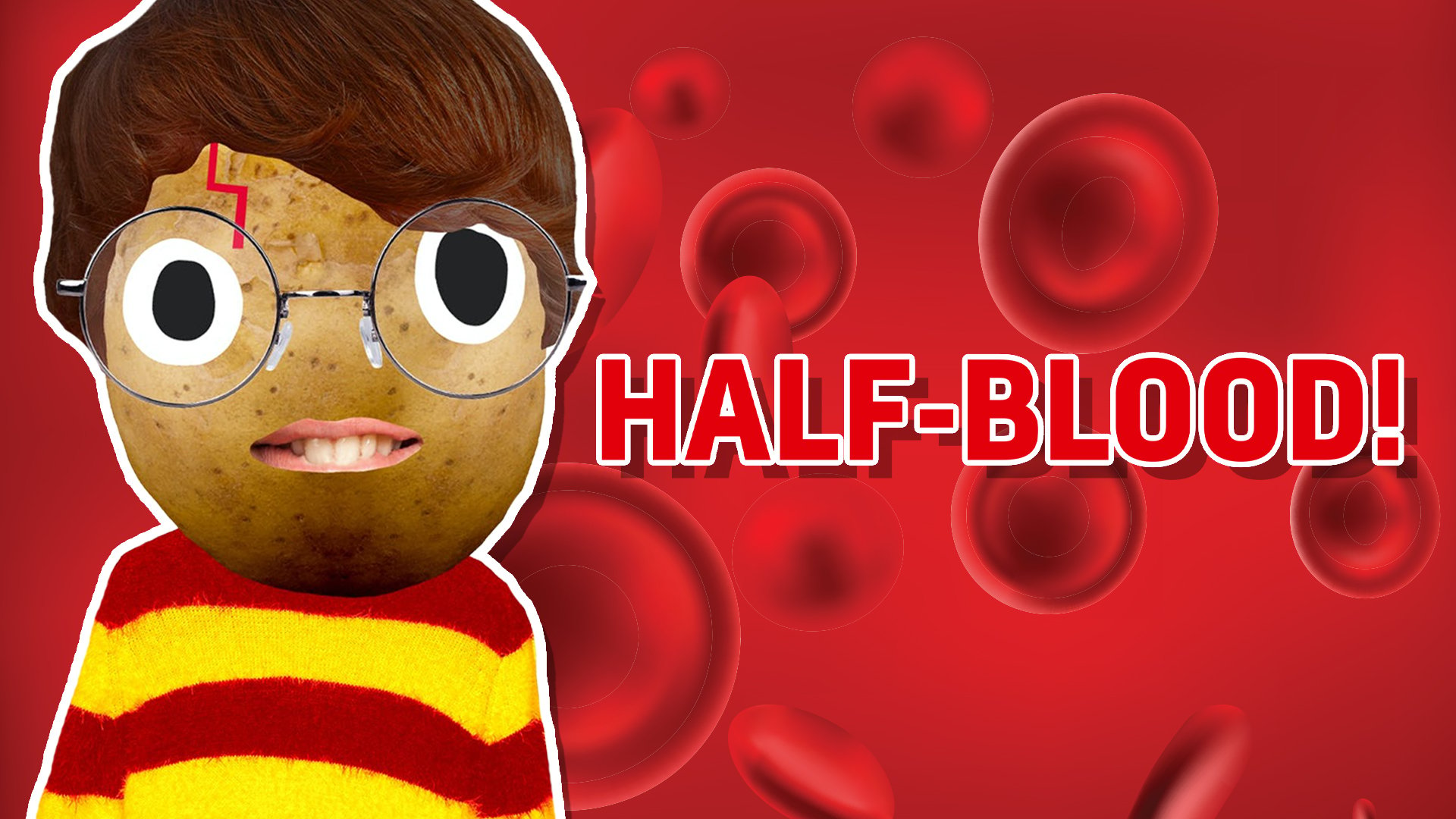 harry-potter-blood-status-quiz-beano