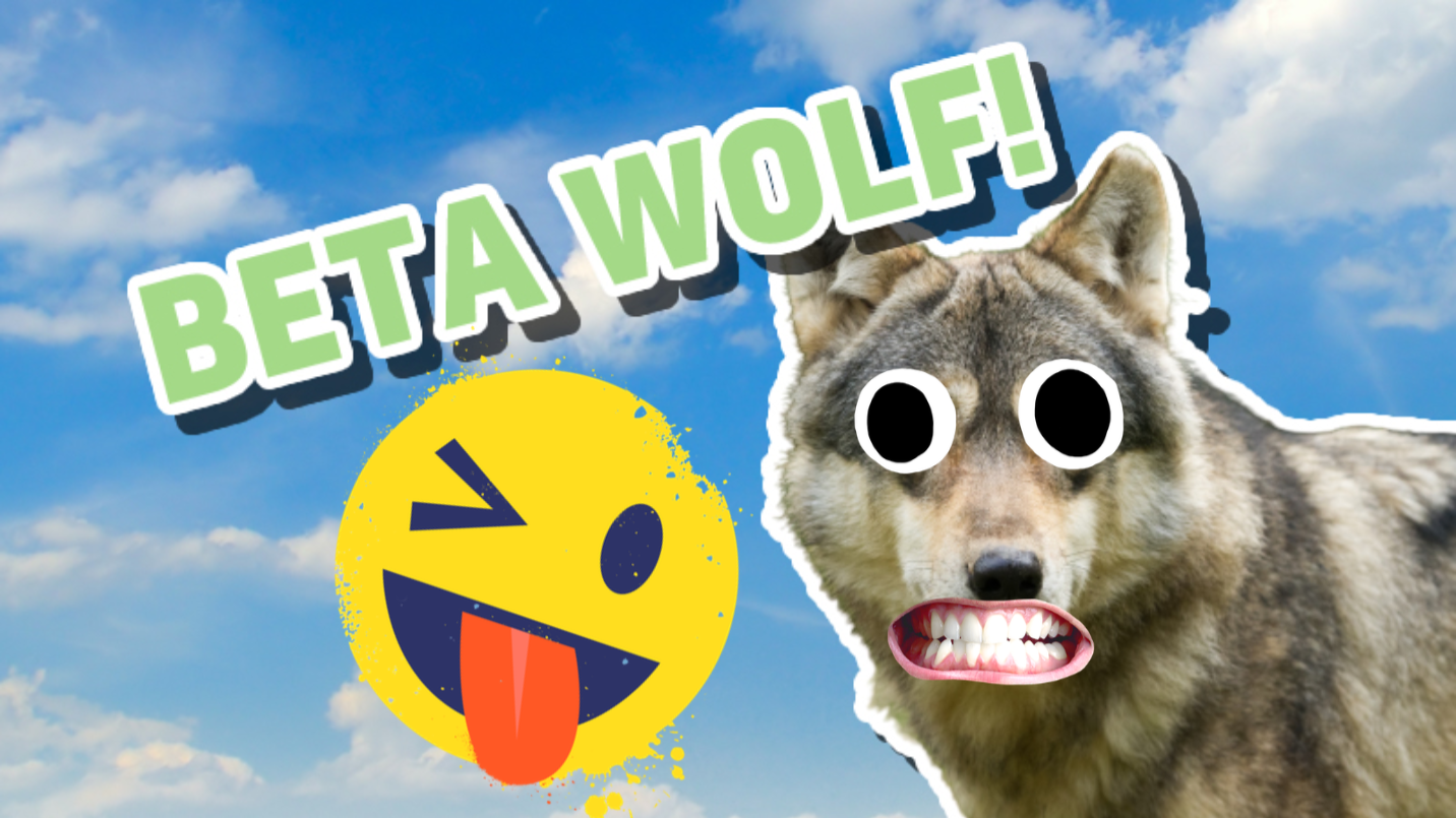 The Ultimate Wolf Trivia Quiz Wolf Animal Quizzes On