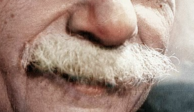 Guess That 'Stache - Match the Celebrity Mustaches