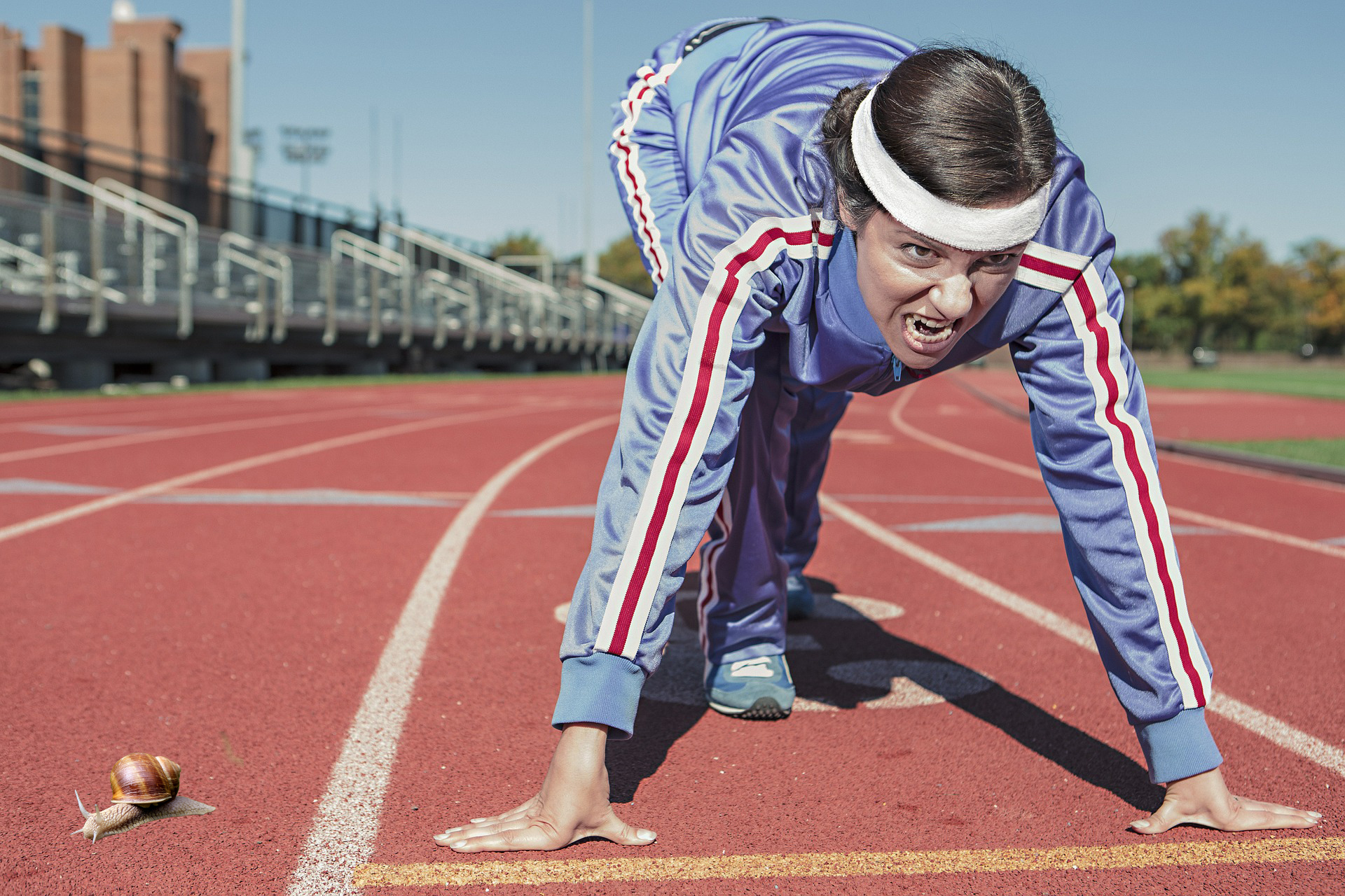 A snail prepares to run on an athletics track